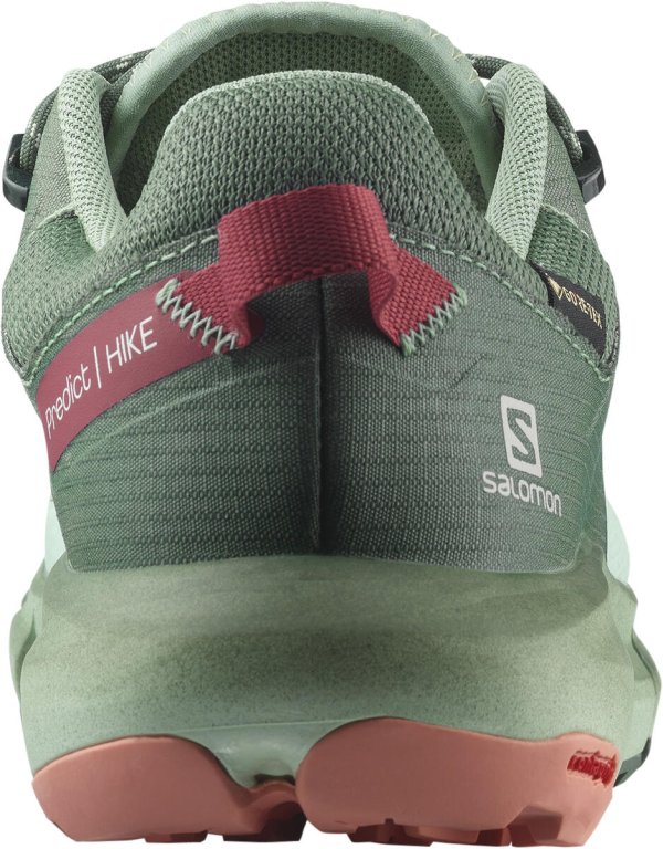 Взуття Salomon PREDICT HIKE GTX W - зелений