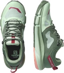Взуття Salomon PREDICT HIKE GTX W - зелений