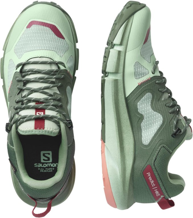 Взуття Salomon PREDICT HIKE GTX W - зелений