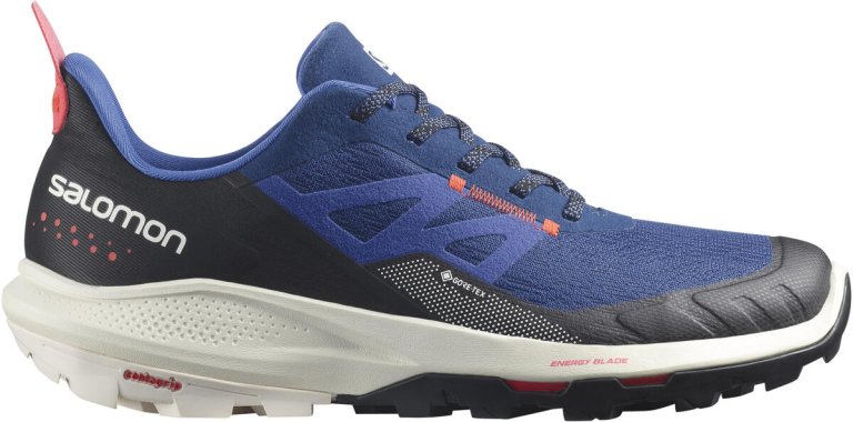 Взуття Salomon OUTpulse GTX M - синій