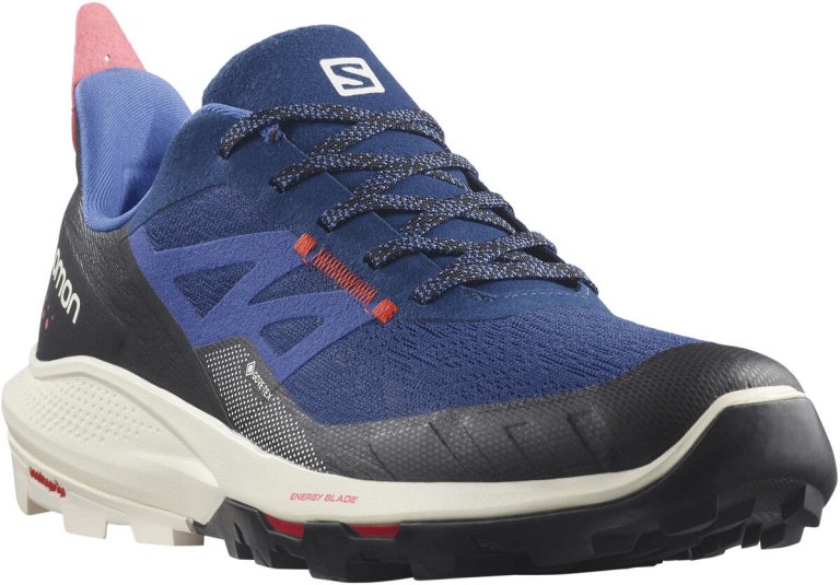 Взуття Salomon OUTpulse GTX M - синій