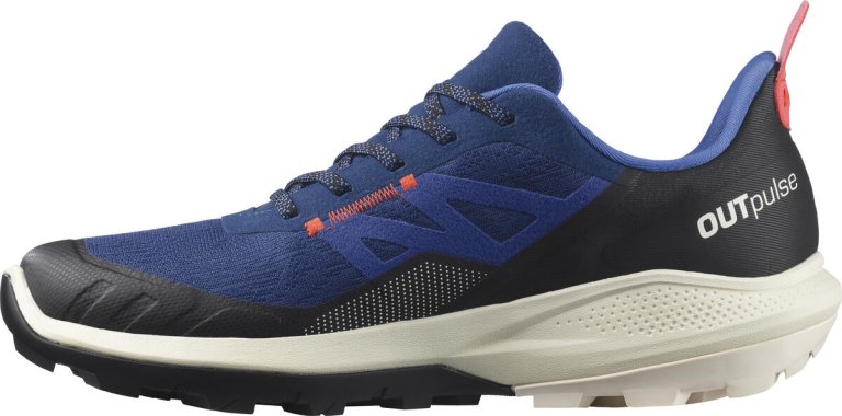 Взуття Salomon OUTpulse GTX M - синій