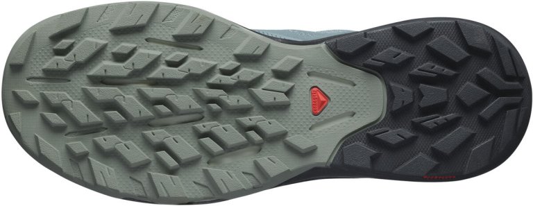 Взуття Salomon OUTpulse W - сірий