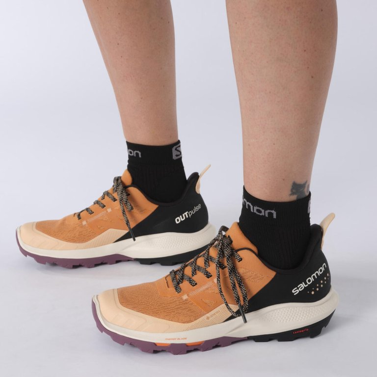 Взуття Salomon OUTpulse GTX W - коричневий