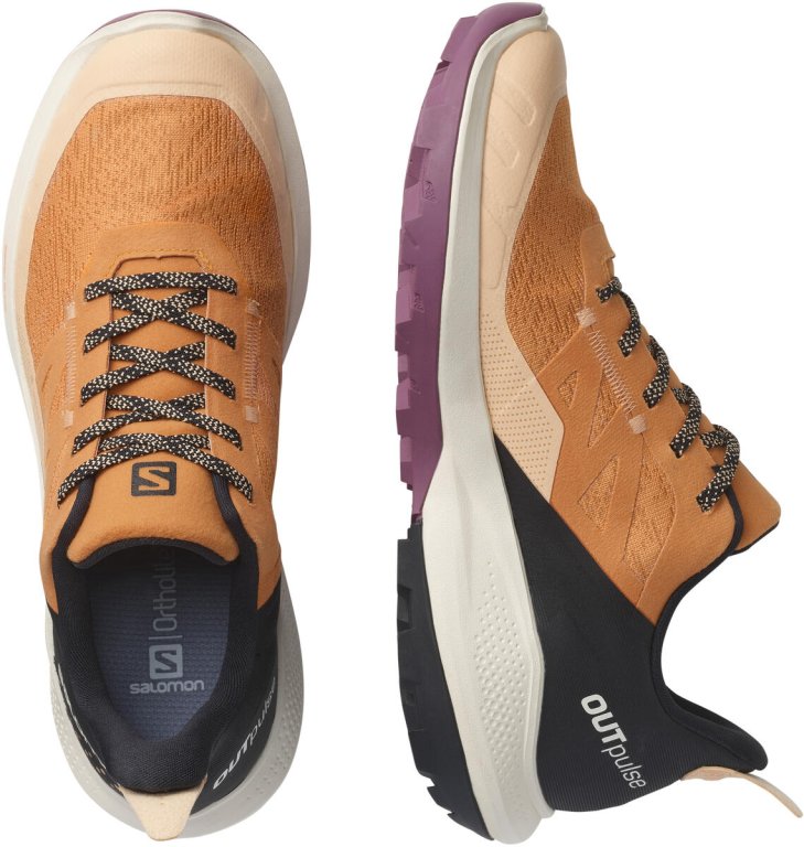 Взуття Salomon OUTpulse GTX W - коричневий