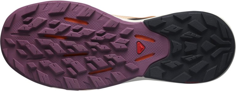 Взуття Salomon OUTpulse GTX W - коричневий