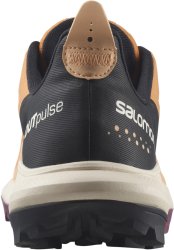 Взуття Salomon OUTpulse GTX W - коричневий