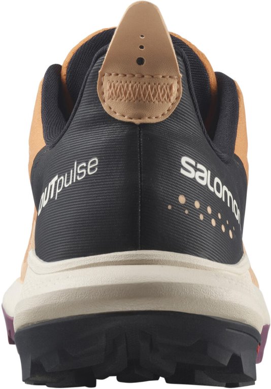 Взуття Salomon OUTpulse GTX W - коричневий