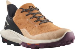 Взуття Salomon OUTpulse GTX W - коричневий