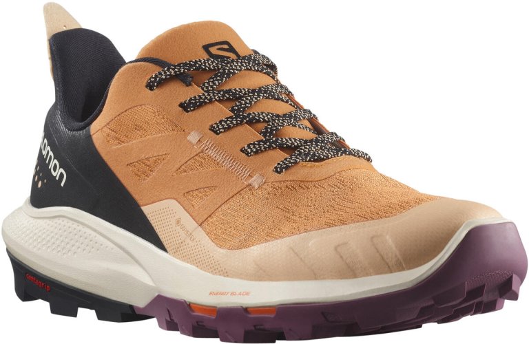 Взуття Salomon OUTpulse GTX W - коричневий