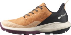 Взуття Salomon OUTpulse GTX W - коричневий