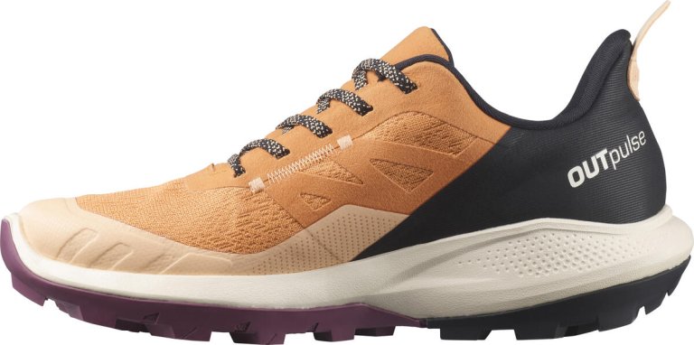 Взуття Salomon OUTpulse GTX W - коричневий
