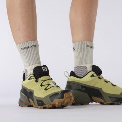 Взуття Salomon CROSS HIKE GTX W - зелений