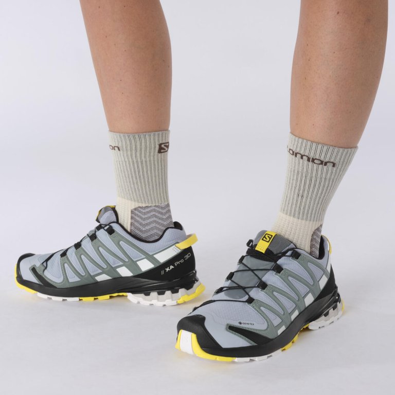 Кросівки Salomon Xa Pro 3D v8 GTX W - сірі/блакитні/жовті/чорні