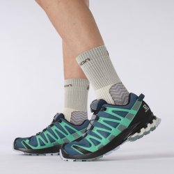 Кросівки Salomon Xa Pro 3D v8 GTX W - сині/зелені