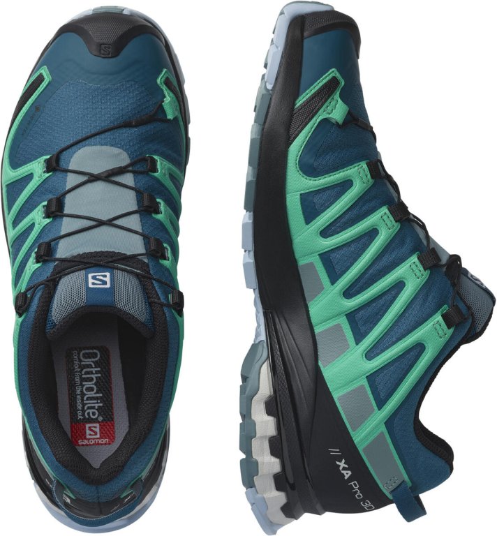 Кросівки Salomon Xa Pro 3D v8 GTX W - сині/зелені