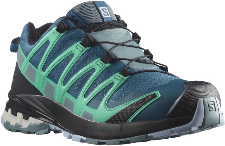 Кросівки Salomon Xa Pro 3D v8 GTX W - сині/зелені
