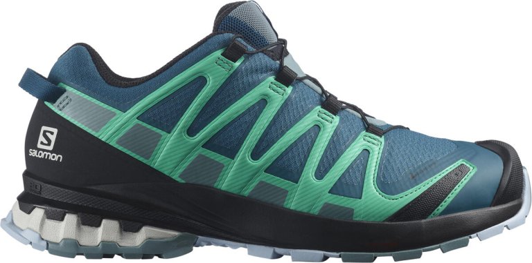 Кросівки Salomon Xa Pro 3D v8 GTX W - сині/зелені