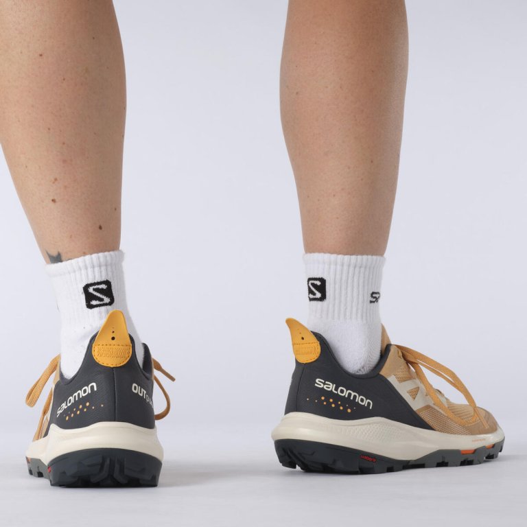 Взуття Salomon OUTpulse W - пісок/сірий