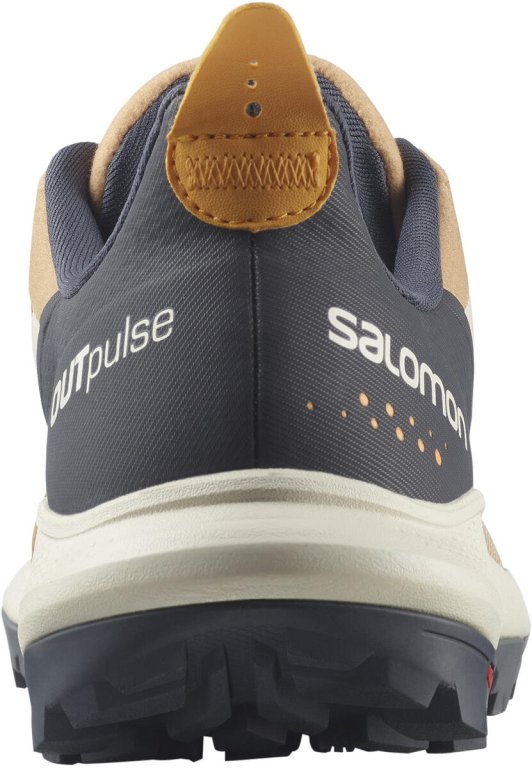 Взуття Salomon OUTpulse W - пісок/сірий