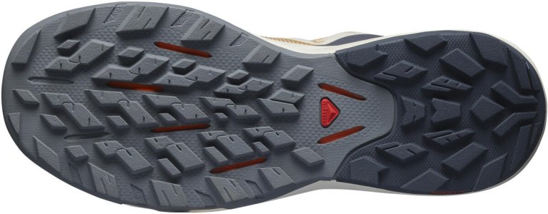 Взуття Salomon OUTpulse W - пісок/сірий