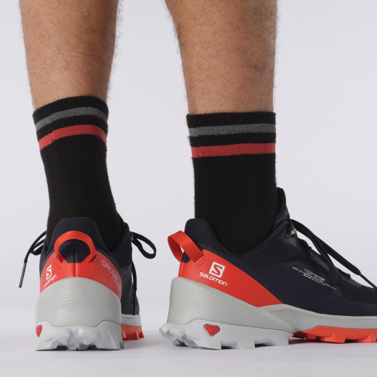Кросівки Salomon CROSS OVER M - сині