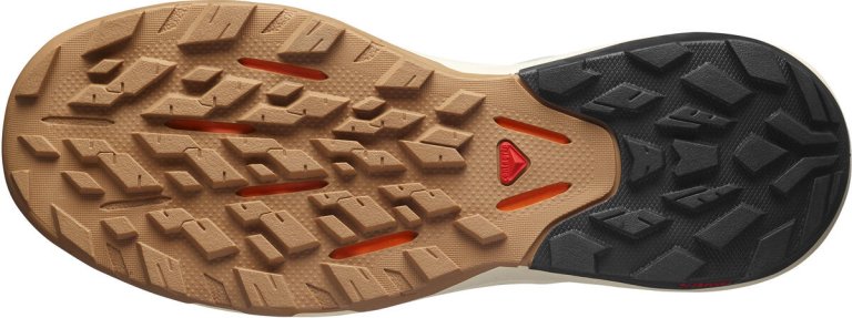 Кросівки Salomon OUTpulse M - сині