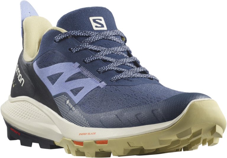 Взуття Salomon OUTpulse GTX W - синій