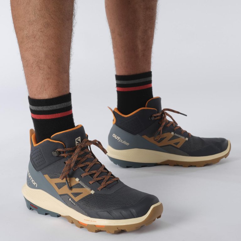 Взуття Salomon OUTpulse Mid GTX M - синій/коричневий