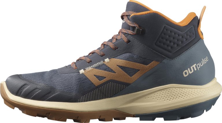 Взуття Salomon OUTpulse Mid GTX M - синій/коричневий