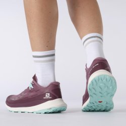 Взуття Salomon Ultra Glide W - бордовий
