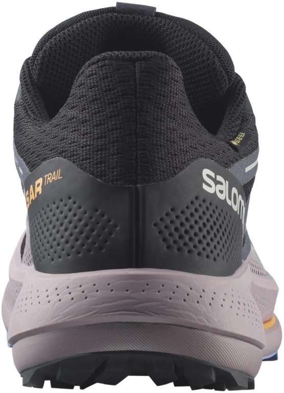 Взуття Salomon PULSAR TRAIL GTX W - чорний