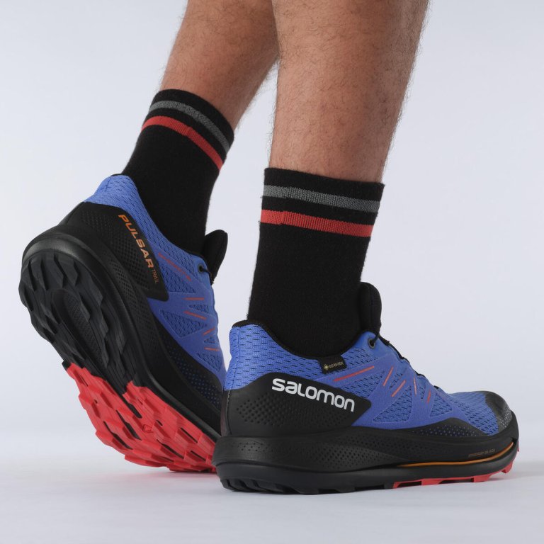 Взуття Salomon Pulsar Trail GTX M - синій