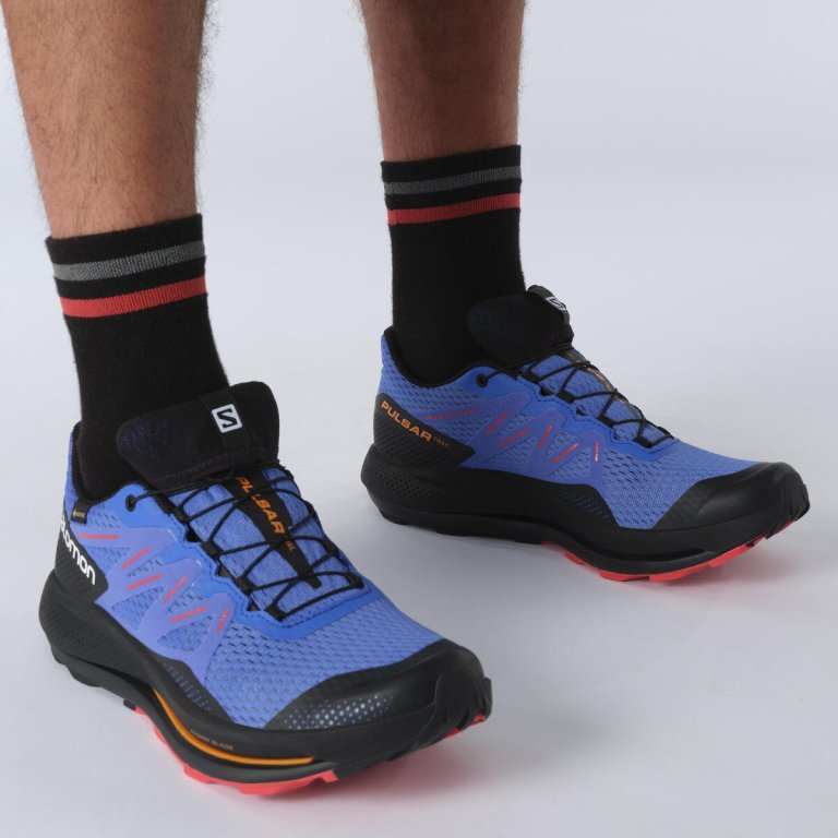 Взуття Salomon Pulsar Trail GTX M - синій