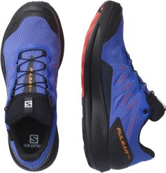 Взуття Salomon Pulsar Trail GTX M - синій