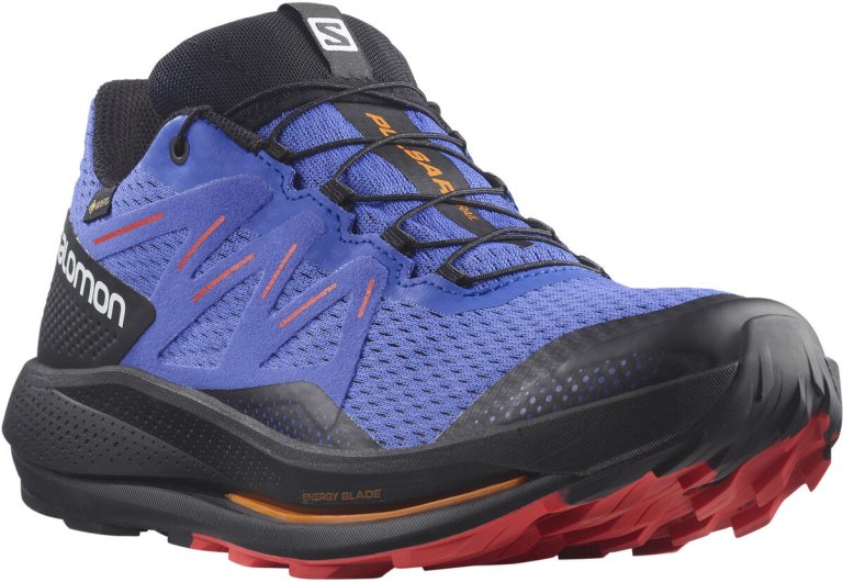 Взуття Salomon Pulsar Trail GTX M - синій