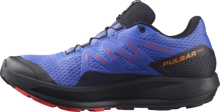 Взуття Salomon Pulsar Trail GTX M - синій