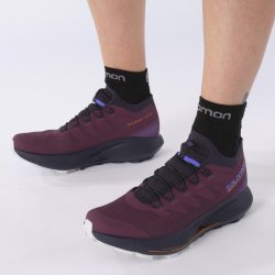 Взуття Salomon PULSAR TRAIL PRO W - бордовий/чорний