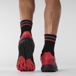 Взуття Salomon PULSAR TRAIL M - червоний