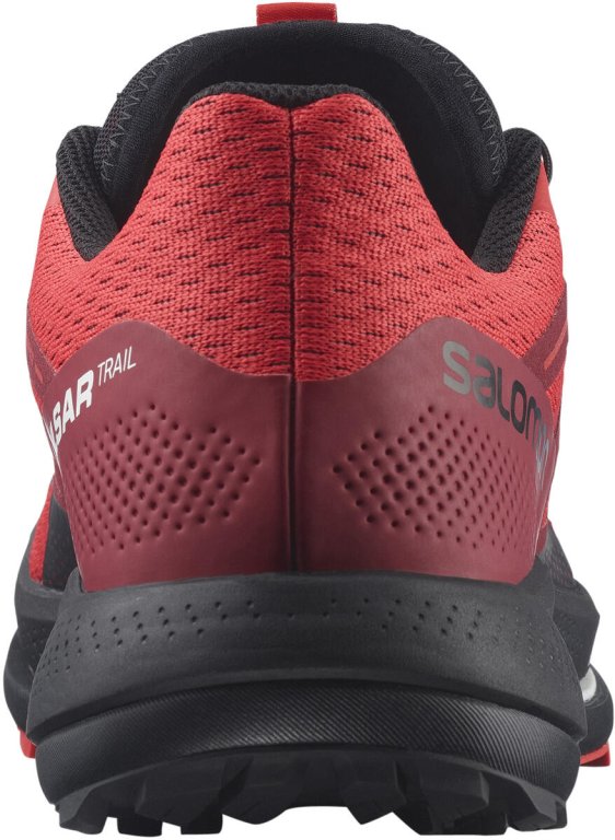 Взуття Salomon PULSAR TRAIL M - червоний