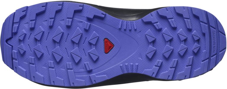 Взуття Salomon XA PRO V8 CSWP J - чорний/синій
