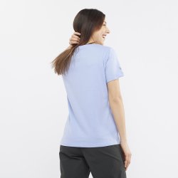 Футболка Salomon Outlife Big Logo Tee W - синя