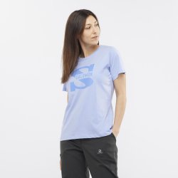 Футболка Salomon Outlife Big Logo Tee W - синя