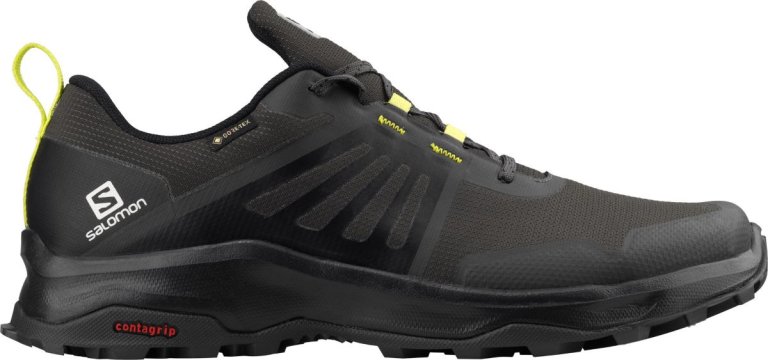 Взуття Salomon X-RENDER GTX M - чорний