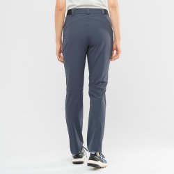 Штани Salomon WAYFARER PANTS W - сірі