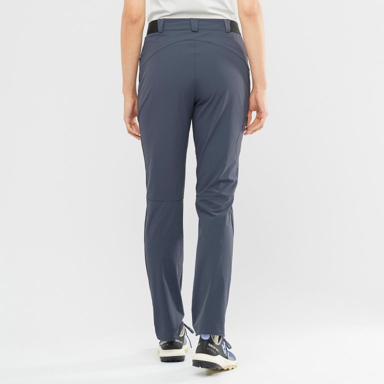 Штани Salomon WAYFARER PANTS W - сірі