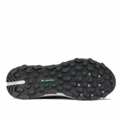 Кросівки жіночі Columbia Hatana™ Max OutDry™ W - сірі