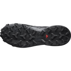Взуття Salomon Speedcross 6 GTX M - чорний