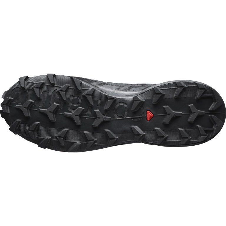 Взуття Salomon Speedcross 6 GTX M - чорний