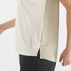 Футболка Salomon Outline Summer SS Tee W - бежева